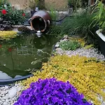 Accommodatie bij particulieren Lola *